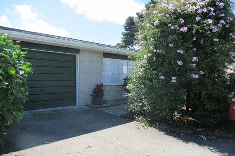 Photo of property in 16c Mako Mako Road, Levin, 5510