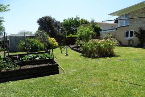 Photo of property in 4 Lewis Street, Paeroa, 3600