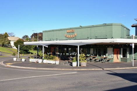 Photo of property in 46 Plunket Terrace, Hamilton East, Hamilton, 3216