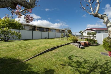 Photo of property in 34 Vine Avenue, Maungatapu, Tauranga, 3112