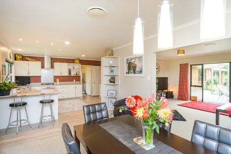 Photo of property in 1107 Saddle Road, Ashhurst, 4810