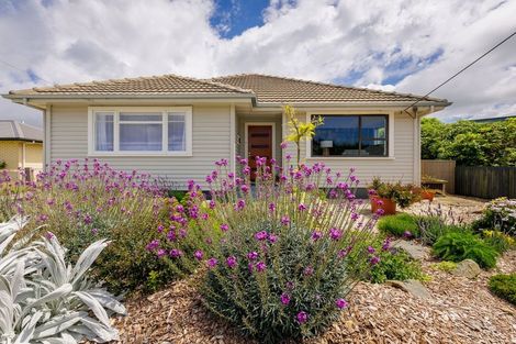 Photo of property in 6 Studholme Street, Waimate, 7924