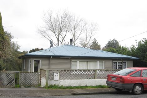 Photo of property in 47 Essex Street, Vogeltown, New Plymouth, 4310