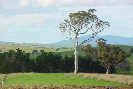 Photo of property in 339 Stoney Creek Road, Kelvin Grove, Palmerston North, 4470