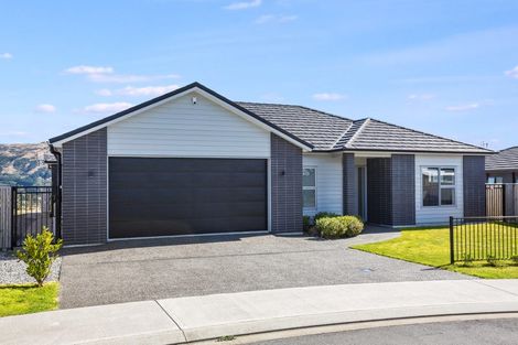 Photo of property in 21 Rotorua Grove, Aotea, Porirua, 5024