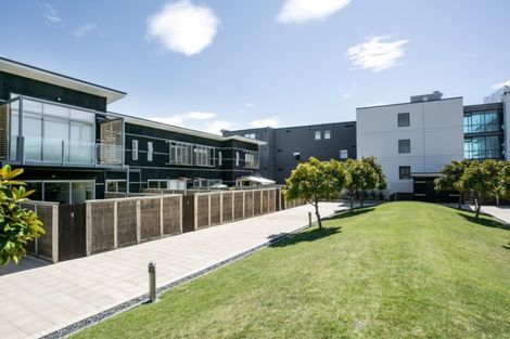 Photo of property in The Terraces, 5/9 Humber Street, Pandora, Napier, 4110