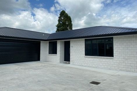 Photo of property in 67a Studholme Street, Morrinsville, 3300