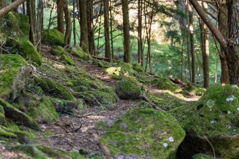 Photo of property in 75 Snooks Road, Maungatapere, Whangarei, 0179