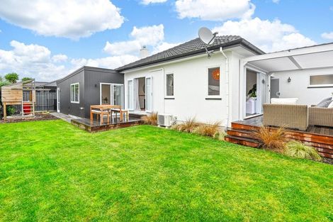 Photo of property in 91a Avondale Road, Greenmeadows, Napier, 4112