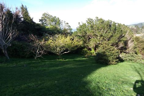 Photo of property in 117 Bulltown Road, Waihi, 3610