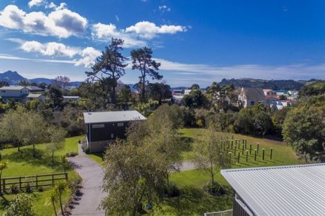 Photo of property in 896 Purangi Road, Cooks Beach, Whitianga, 3591