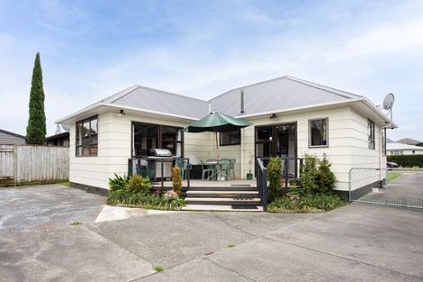 Photo of property in 114 Fitzroy Street, Terrace End, Palmerston North, 4410