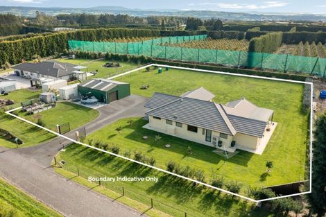 Photo of property in 14 Jacks Lane, Oropi, Tauranga, 3173