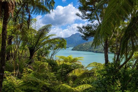 Photo of property in 47 Korimako Rise, Havelock, Picton, 7281