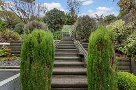 Photo of property in 32 Rothesay Place, Dinsdale, Hamilton, 3204