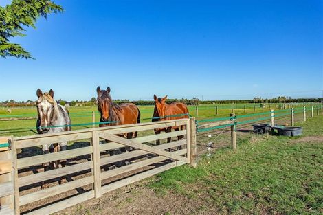 Photo of property in 1206 Two Chain Road, Swannanoa, Rangiora, 7475