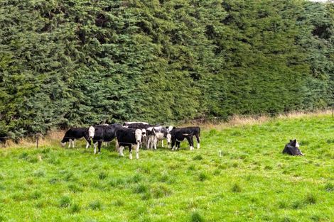 Photo of property in 9 Mitcham Road, Allenton, Ashburton, 7772