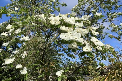 Photo of property in 13 Avoca Place, Darfield, 7510