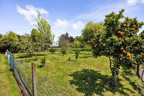 Photo of property in 815 Parallel Road, Ohaupo, 3881