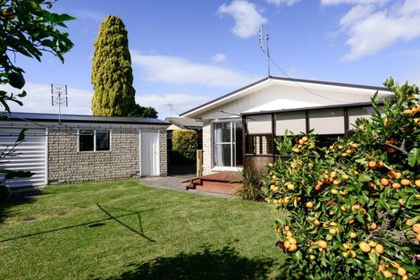 Photo of property in 13 Wake Street, Chartwell, Hamilton, 3210