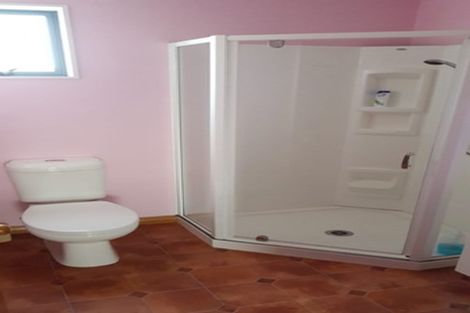 Photo of property in 751 La Fontaine Road, Harihari, 7884