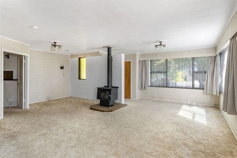 Photo of property in 63 Macarthur Street, Levin, 5510