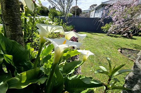 Photo of property in 108 Waikawa Road, Picton, 7220