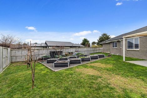 Photo of property in 47 Ritchie Street, Te Aroha, 3320