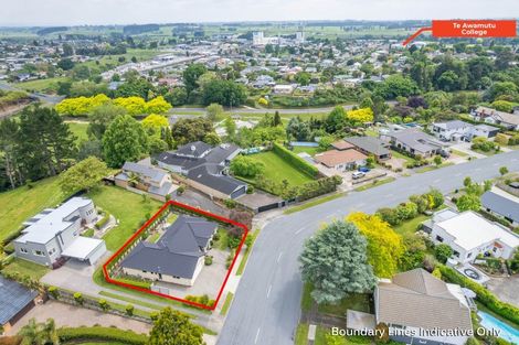 Photo of property in 364 Wallace Terrace, Te Awamutu, 3800