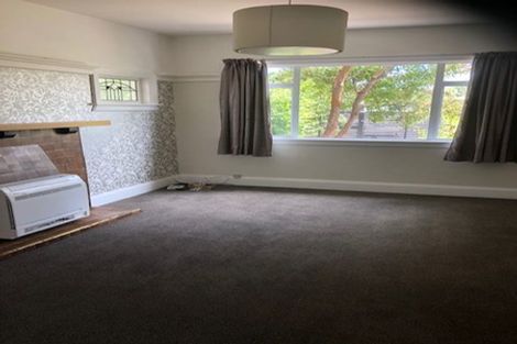 Photo of property in 88 Cranford Street, St Albans, Christchurch, 8014