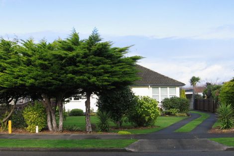 Photo of property in 114 Limbrick Street, Terrace End, Palmerston North, 4410