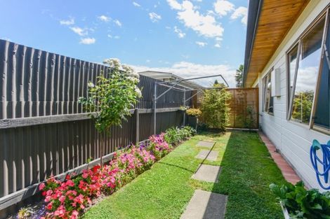 Photo of property in 1/305 Nelson Street South, Hastings, 4122