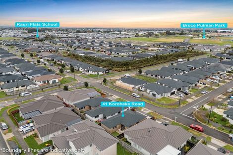 Photo of property in 41 Koroheke Road, Takanini, 2110