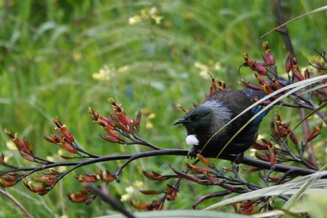 Photo of property in 247 Maungaraki Road, Maungaraki, Lower Hutt, 5010