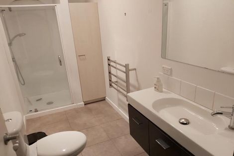 Photo of property in Haining Apartments, 5/38 Haining Street, Te Aro, Wellington, 6011