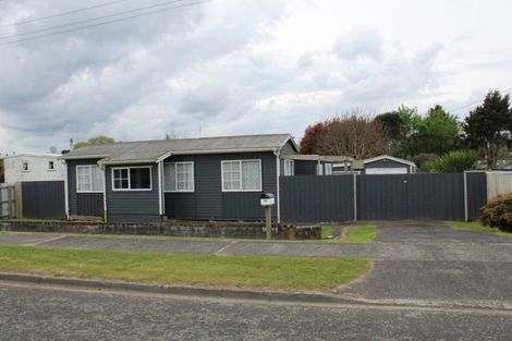 Photo of property in 127 Rangatira Drive, Mangakino, 3421