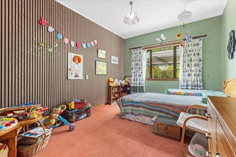 Photo of property in 747 Boddie Road, Waitomo, Te Kuiti, 3981