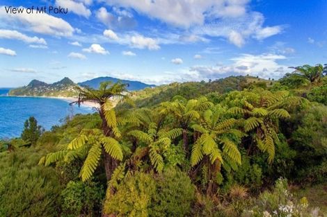 Photo of property in 210 Pumpkin Hill Road, Pumpkin Hill, Whitianga, 3591