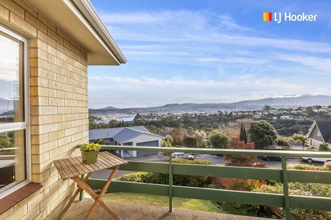 Photo of property in 24 Elliffe Place, Shiel Hill, Dunedin, 9013