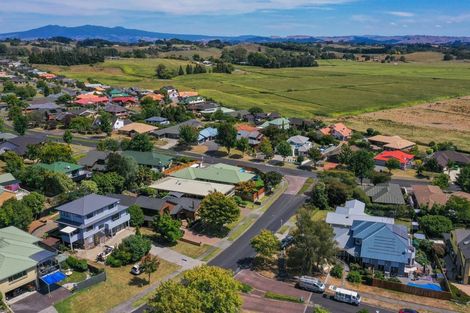 Photo of property in 43 Western Heights Drive, Western Heights, Hamilton, 3200