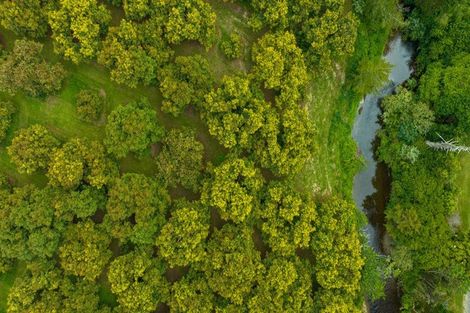 Photo of property in 41d Waiau Road, Athenree Gorge, Katikati, 3177