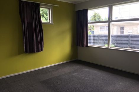 Photo of property in 49 Fitzroy Avenue, Fitzroy, Hamilton, 3206