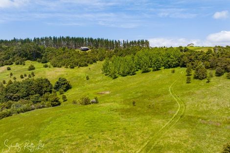 Photo of property in 827 Tinopai Road, Tinopai, Matakohe, 0593