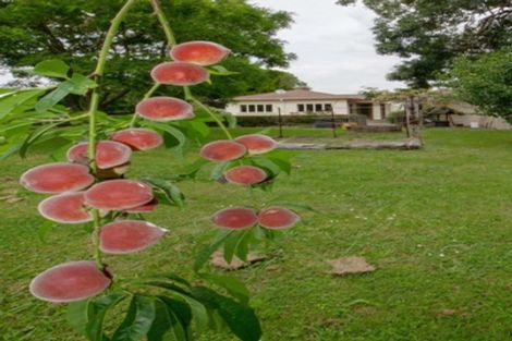 Photo of property in 97 Grattan Road, Te Aroha, 3392