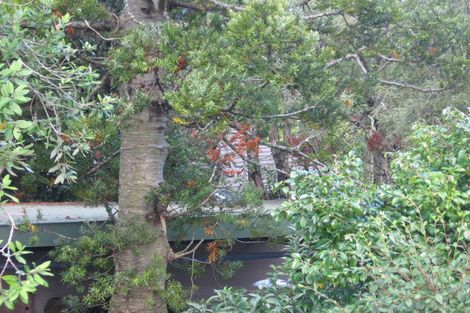 Photo of property in 357 Titirangi Road, Titirangi, Auckland, 0604