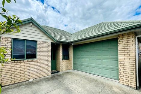 Photo of property in 17a Prisk Street, Melville, Hamilton, 3206