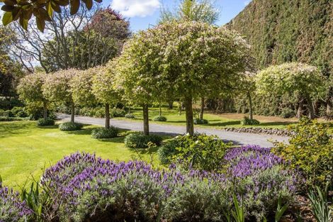 Photo of property in 76 Pukakura Road, Katikati, 3178