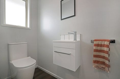 Photo of property in 69b Cambridge Street, Hampstead, Ashburton, 7700