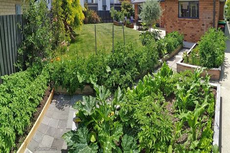 Photo of property in 25 John Campbell Crescent, Hillmorton, Christchurch, 8024