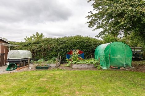 Photo of property in 44 Harris Street, Waimate, 7924